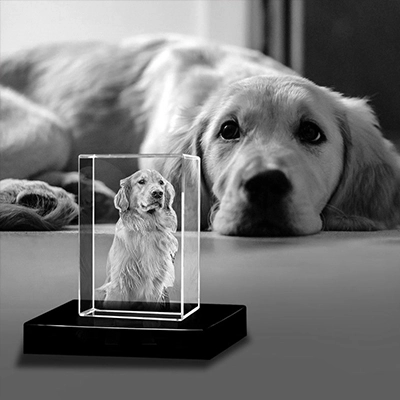 James 3D Crystal
